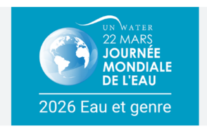 Crise de l'eau : Le fardeau disproportionné des femmes (Rapport ONU 2026)