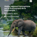 Biodiversité : À Casablanca, 24 pays francophones s’outillent pour réduire le déficit de financement avant la COP17