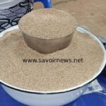 Du Togo, le fonio trace sa voie vers une reconnaissance régionale (REPORTAGE)