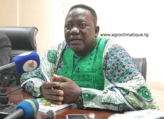 Coton au Togo : « Malgré le climat et les ravageurs, les producteurs tiennent bon » (Koussouwè Kouroufei)