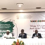 Coton en Afrique : Réunis à Lomé, les acteurs du secteur cherchent à booster les rendements