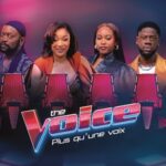 THE VOICE : PLUS QU’UNE VOIX - À PARTIR DU 12 JUIN SUR CANAL+MAGIC