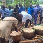 Mieux cerner les filières café-cacao : A Kpalimé, des journalistes entre théorie et immersion dans des plantations