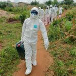 Togo : Des foyers de grippe aviaire dans trois préfectures du sud du pays