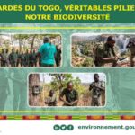 Écogardes : ces gardiens de l’ombre qui protègent la biodiversité du Togo