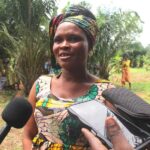 Agriculture durable au Togo : WEMA accompagne les productrices de Tanou et Atsou-Kondji vers le bio