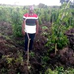 Haho : AFEKE La Gloire, le pari de 23 hectares pour faire grandir l’igname