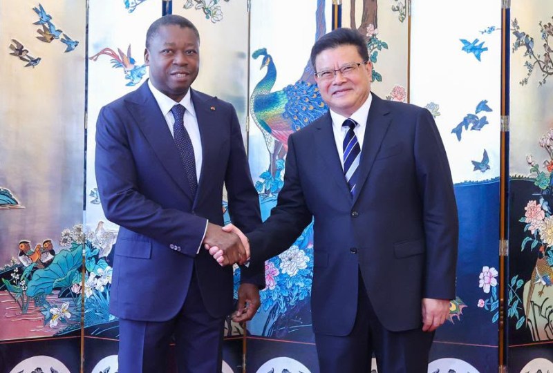 Togo-Chine : Faure Gnassingbé explore de nouvelles perspectives de coopération avec le Guangdong