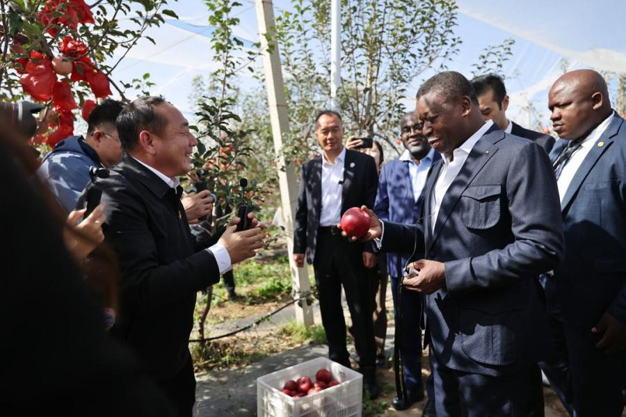 Chine-Togo : à Nangou, Faure Gnassingbé explore les leviers du développement local